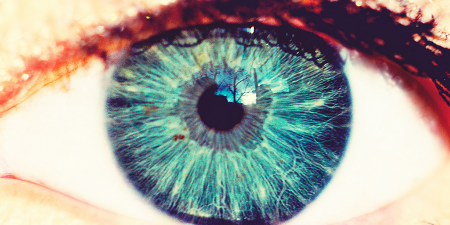 Biométrie, photovoltaïque, luminaires en Afrique… L’actu biz du jeudi 12 novembre