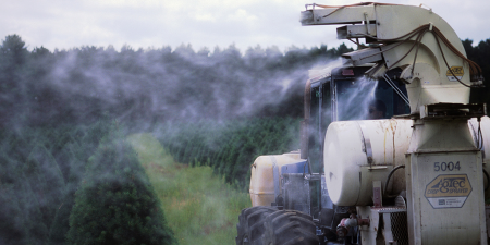 Des pesticides dans nos assiettes : TOP 10 des fruits & légumes les plus pollués