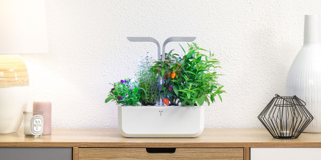 Potager connecté, Autoliberté, onde de choc… L’actu biz du lundi 9 novembre