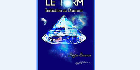 Le TORM : prochain Harry Potter ?