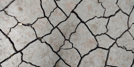 Avis Maison et jardin actuels : enrichir son patrimoine avec la pierre