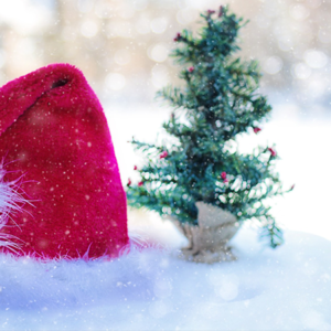2000€ d’amende pour une histoire de bonnets de Noël
