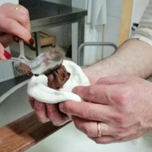 Cuisine : la mozzarella au Nutella, le nouveau sacrilège venue d’Italie