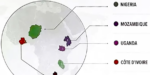 Washington situe mal l’Afrique sur la carte